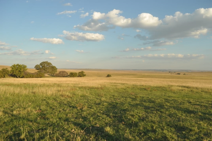 5 Bedroom Property for Sale in Reitz Rural Free State